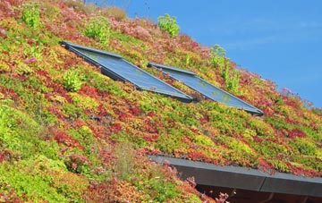 Leverstock Green living roof systems